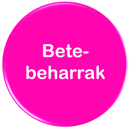 ikonoa: betebeharrak